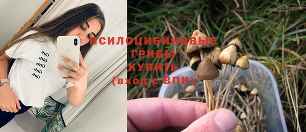 крисы Арсеньев